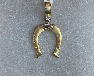 9ct Two Tone Horse Shoe Pendant